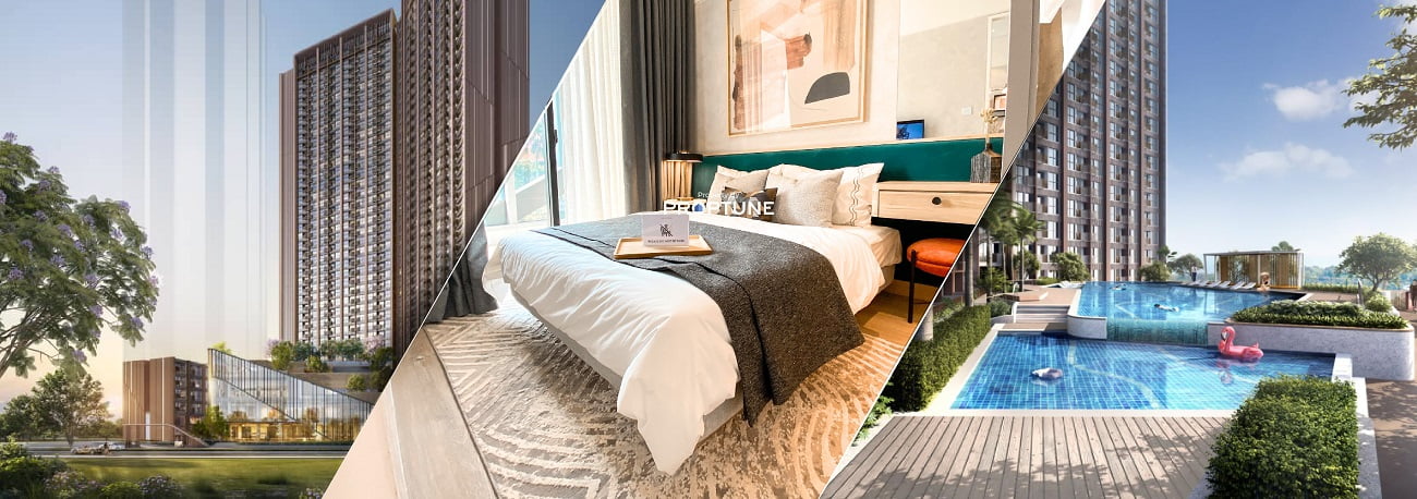 Auraya Suites