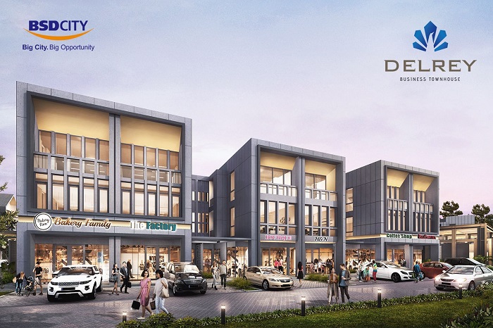 Delrey Biztown